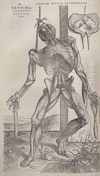 Dissected human body 1543 Oil Painting by Andreas Vesalius