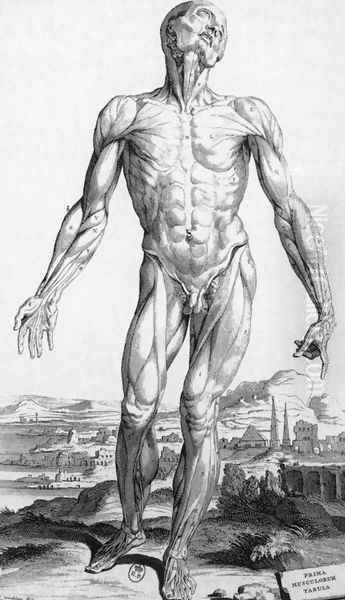 Anatomy 1543 Oil Painting by Andreas Vesalius