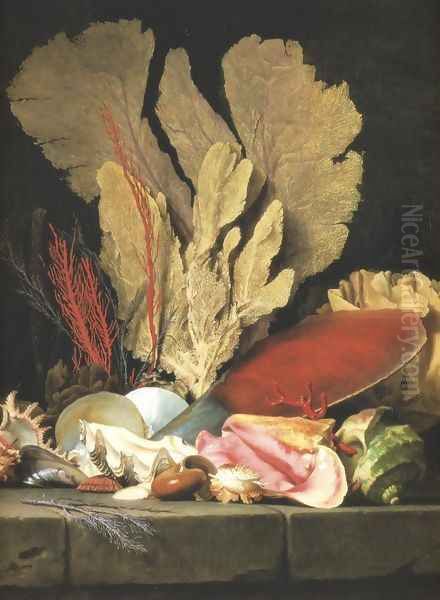 Still-Life with Tuft of Marine Plants, Shells and Corals 1769 Oil Painting by Anne Vallayer-Coster