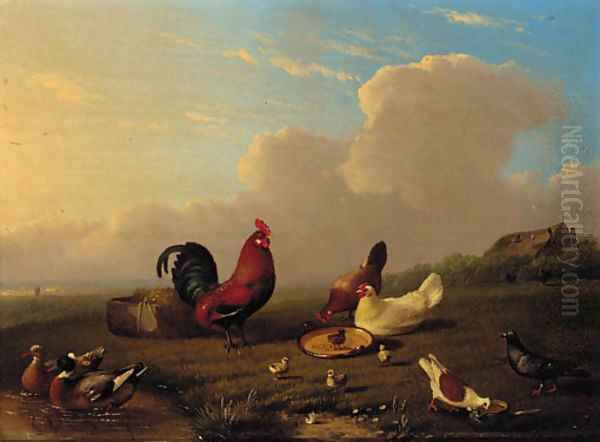 Chickens, ducks and pigeons in a landscape Oil Painting by Franz van Severdonck