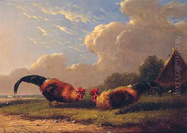 Cockerels Oil Painting by Franz van Severdonck