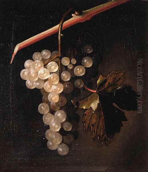 A trompe l'oeil a bunch of grapes hanging before a stone wall Oil Painting by Simon Pietersz. Verelst