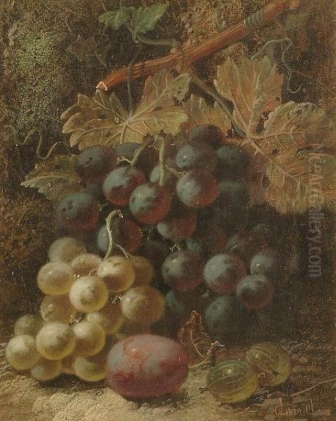 Still Life Of Grapes, Goosberries And A Plum On A Mossy Bank Oil Painting by Oliver Clare