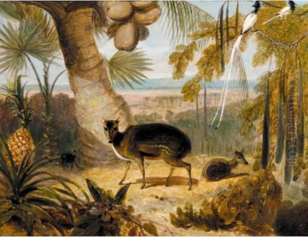 Musk Deer, And Birds Of Paradise Oil Painting by William Daniell RA