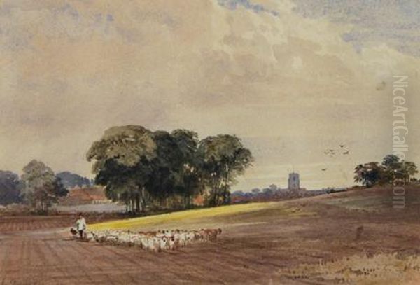 Shepherd And Flock Crossing A Ploughed Field Oil Painting by Edward Duncan