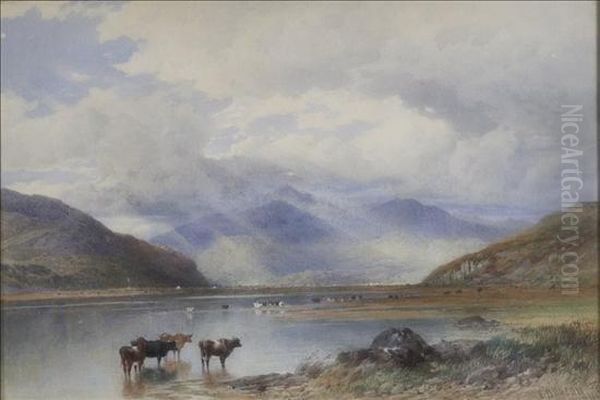 Extensive Landscape With Cattle Beside A Loch Oil Painting by Edward Duncan