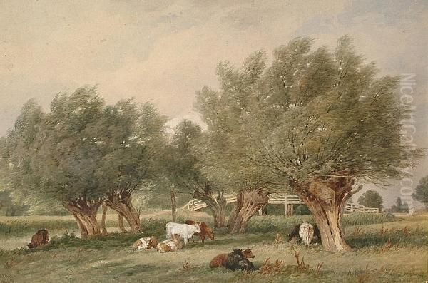 Cattle In A Rural Landscape Oil Painting by Edward Duncan