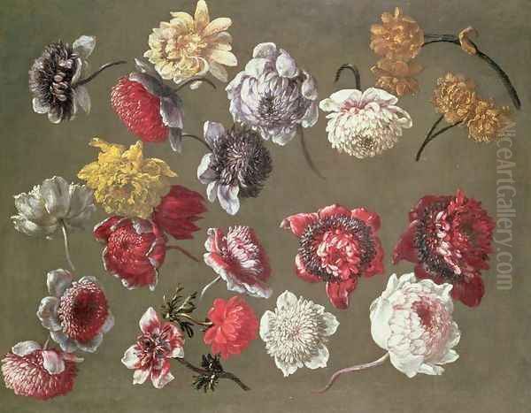 A Study of Peonies Oil Painting by Gaspar Peeter The Elder Verbruggen