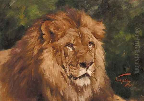 The head of a lion Oil Painting by Geza Vastagh