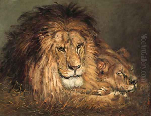 A lion and lioness resting Oil Painting by Geza Vastagh