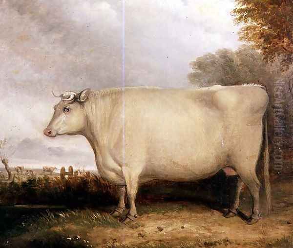 Portrait of a prize cow Oil Painting by John Vine