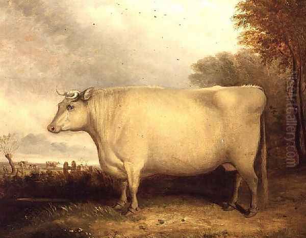 White, Short-horned Cow in a Landscape Oil Painting by John Vine