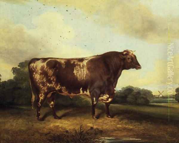 Brown and White Bull in Landscape Oil Painting by John Vine