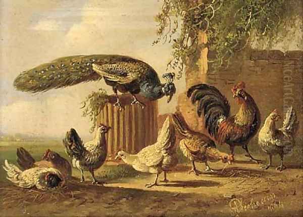 A peacock and poultry in a farmyard Oil Painting by Albertus Verhoesen