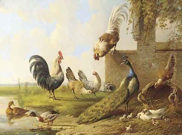 Poultry and a peacock by a ruin 2 Oil Painting by Albertus Verhoesen