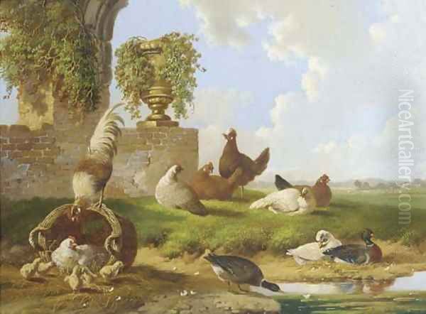 Poultry and ducks by a ruin Oil Painting by Albertus Verhoesen