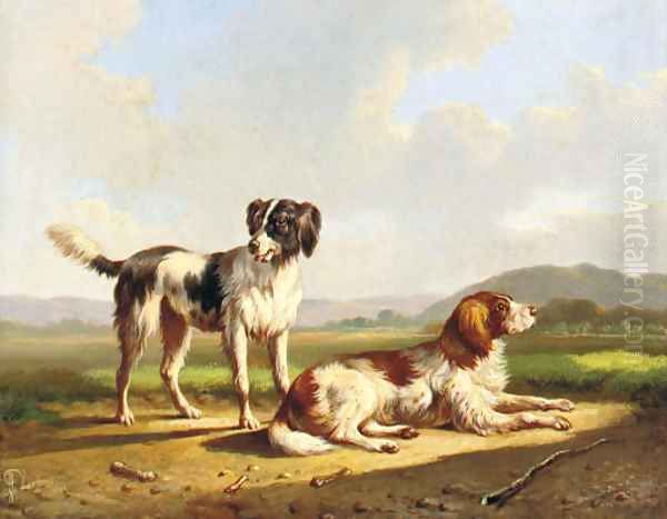 Two hunting dogs in a summer landscape Oil Painting by Albertus Verhoesen