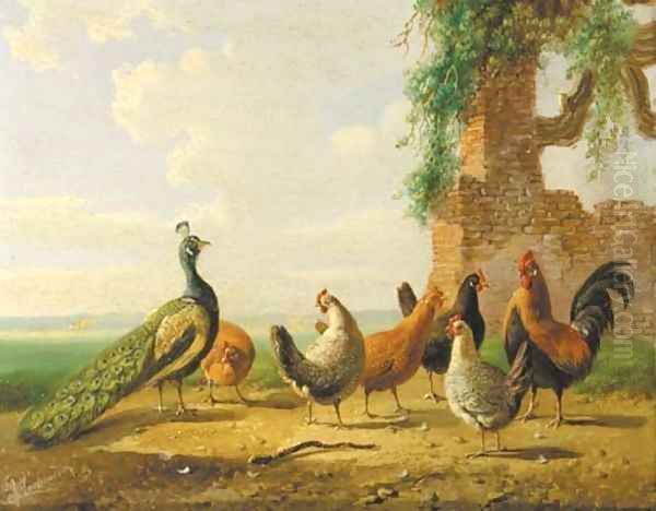 Poultry by ruined walls 2 Oil Painting by Albertus Verhoesen