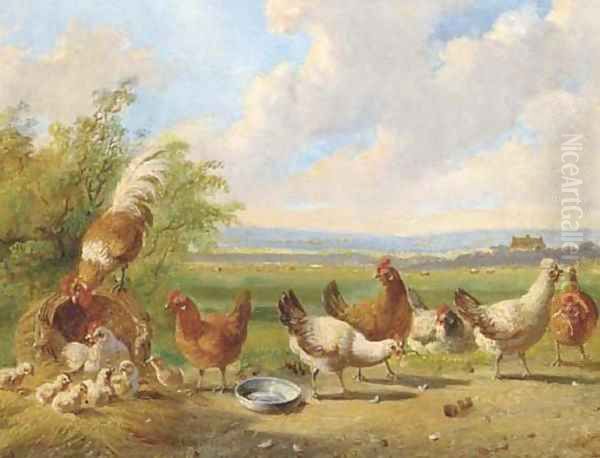 Poultry in a landscape Oil Painting by Albertus Verhoesen