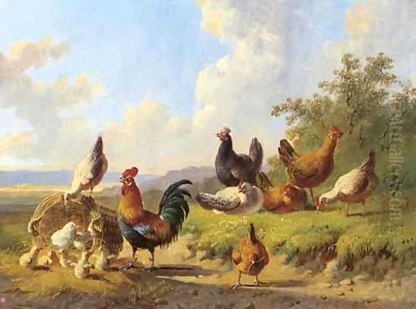 Poultry in a meadow Oil Painting by Albertus Verhoesen