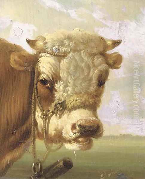 A bull's head Oil Painting by Albertus Verhoesen