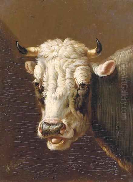 A cow's head Oil Painting by Albertus Verhoesen