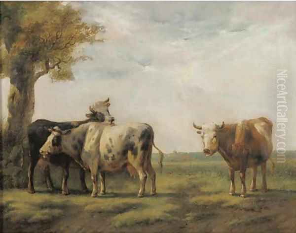 Cattle in a sunlit landscape Oil Painting by Albertus Verhoesen