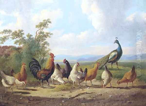 Cheerful chickens Oil Painting by Albertus Verhoesen