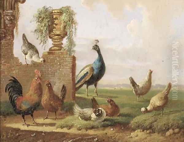 Poultry and a peacock by a ruin Oil Painting by Albertus Verhoesen