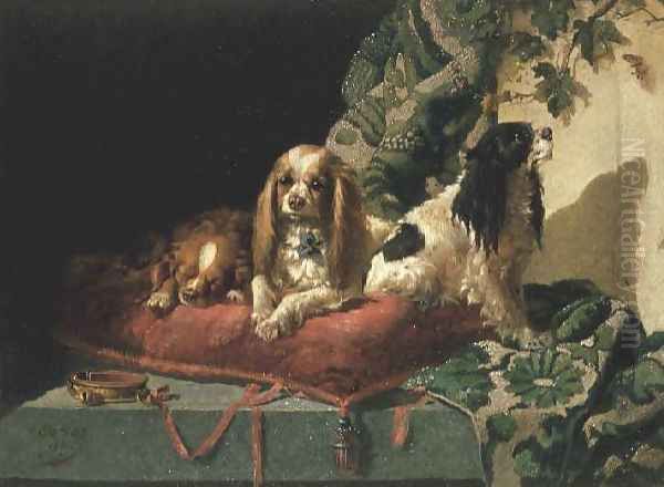 King Charles Spaniels Oil Painting by Vincent de Vos