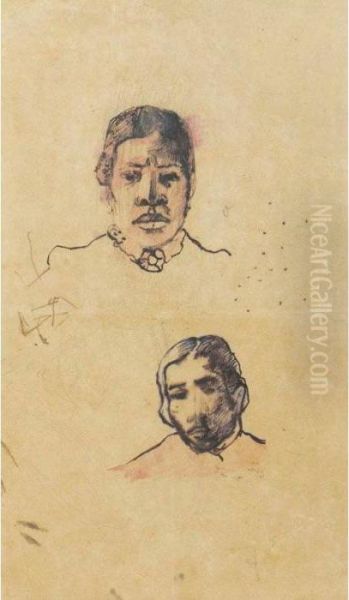 Tete De Tahitienne And Tete D'homme: A Double-sided Drawing Oil Painting by Paul Gauguin