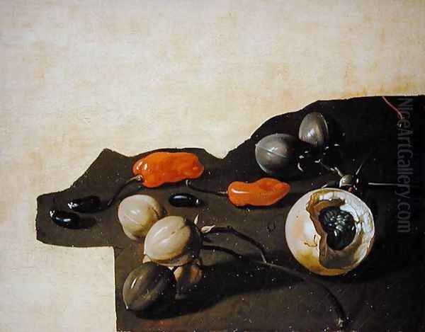 Study of Surinam fruit and spices Oil Painting by Dirk Valkenburg