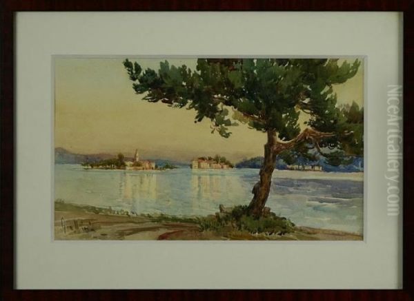 Corfu Oil Painting by Angelos Giallina