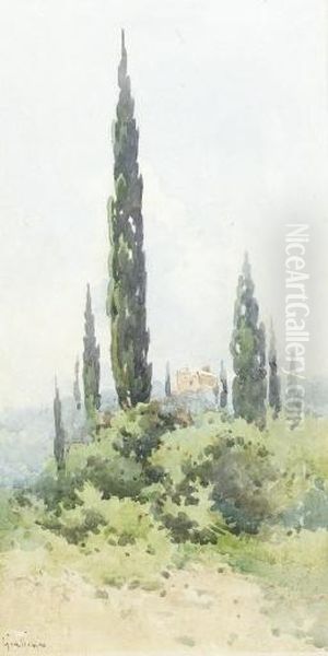 A Villa Amongst Cypress Trees, Corfu Oil Painting by Angelos Giallina