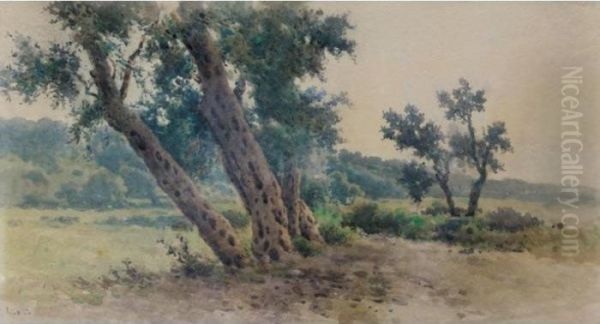 Olive Trees Oil Painting by Angelos Giallina