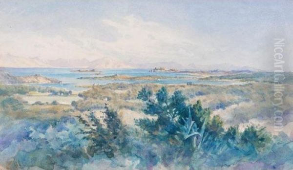 View Of Corfu Oil Painting by Angelos Giallina