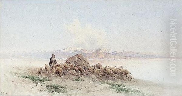 Shepherd And His Flock, Corfu Oil Painting by Angelos Giallina