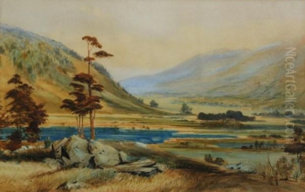 Landscape Near Nelson Oil Painting by John Gully