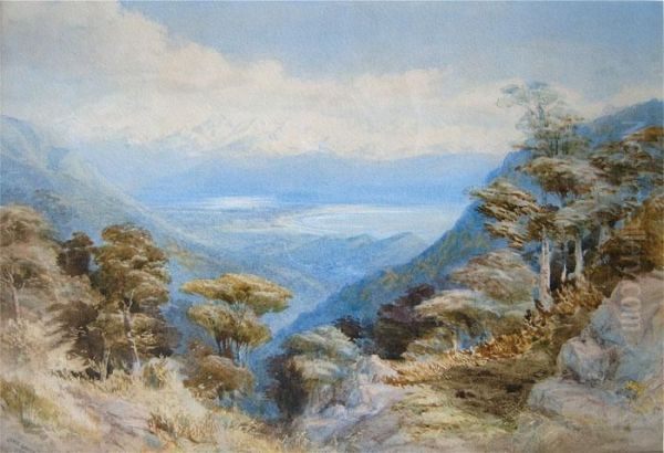 Arthur Range, Nelson Oil Painting by John Gully