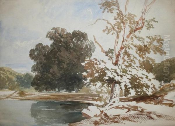 An Album Of Tree Studies,
Landscape Sketches And Architectural Details Fifty Ones Leaves Of Wash Drawings Oil Painting by James Duffield Harding