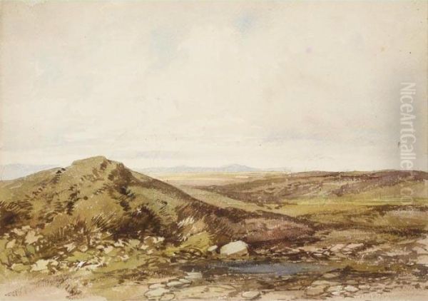 An Album Of Landscape Drawings Oil Painting by James Duffield Harding