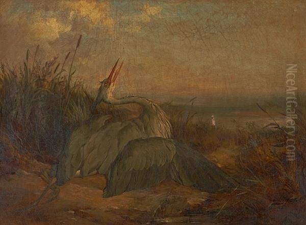 The Wounded Heron Oil Painting by James Jnr Hardy