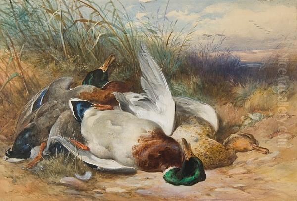 Still Life Of Wildfowl Upon Sand Dunes Oil Painting by James Jnr Hardy