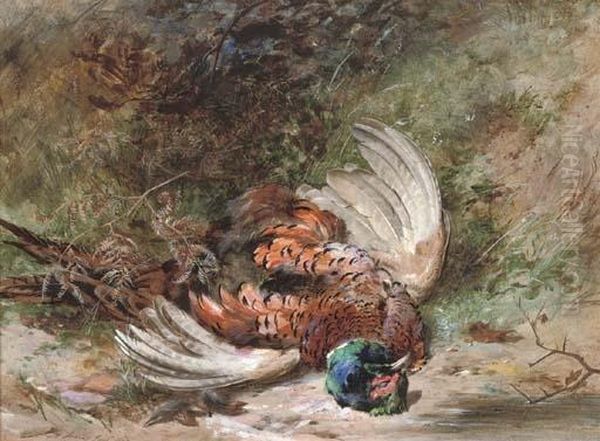 One For The Retriever: A Shot Pheasant Oil Painting by James Jnr Hardy