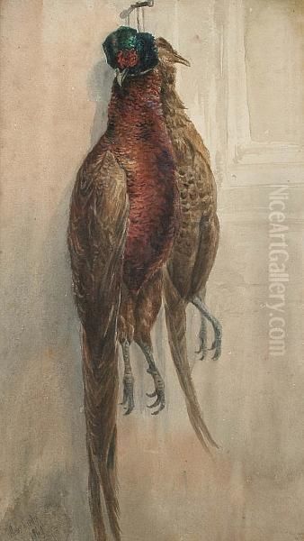 A Brace Of Pheasant Oil Painting by James Jnr Hardy