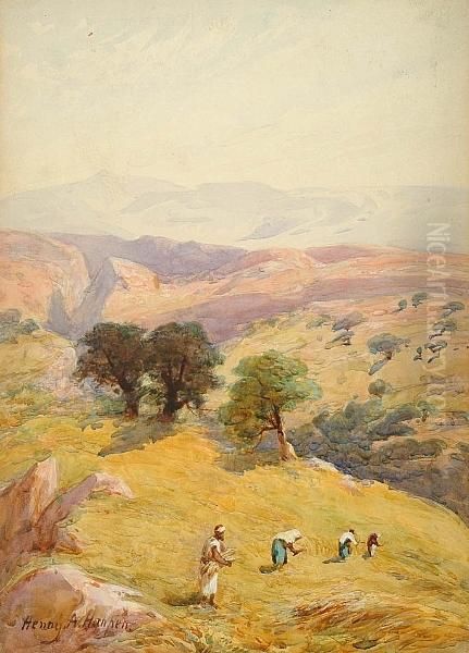 The Fields Between Jerusalem And Jericho Oil Painting by Henry Andrew Harper