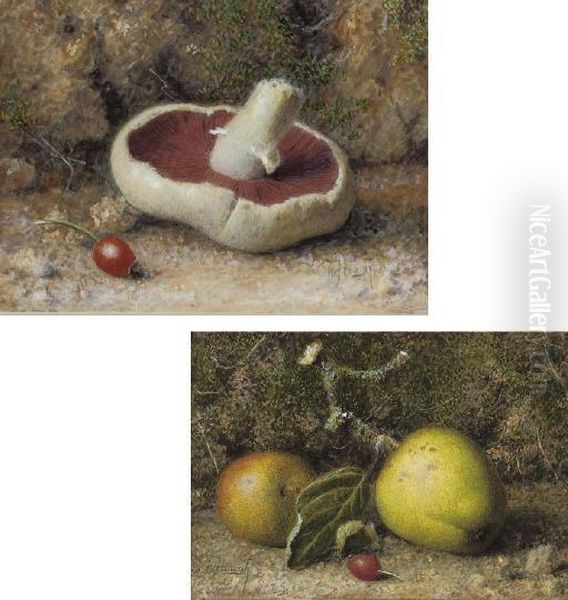 Apples And A Rosehip On A Mossy Bank; And A Mushroom And Rosehip Oil Painting by William B. Hough