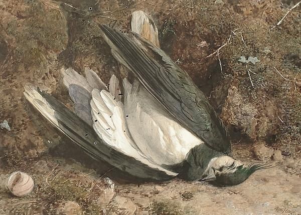 A Fallen Lapwing On A Mossy Bank Oil Painting by William B. Hough