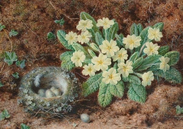 A Still Life With A Bird's Nest And Primroses Oil Painting by William B. Hough