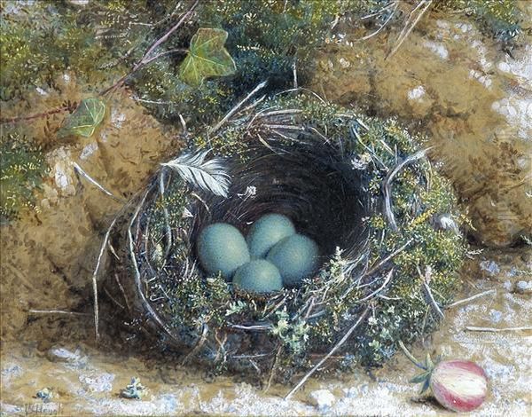 Hedge-sparrowsnest, With Four Eggs On A Ivy Covered Bank Oil Painting by William B. Hough